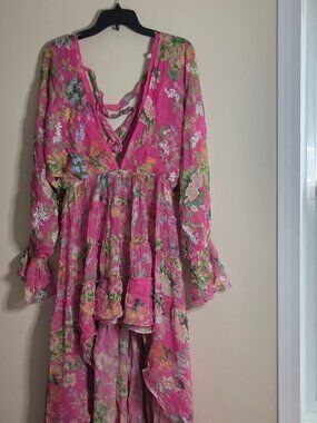Hemant and Nandita pink dress